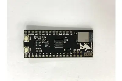 Sasquatch-STM32WB5MMG Development Board