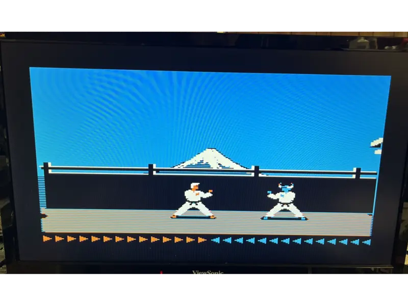 TOTAL REPLAY GAME CARD for Apple II Computers 502 Games!