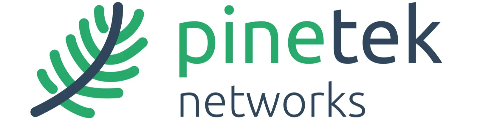 Pinetek Networks banner